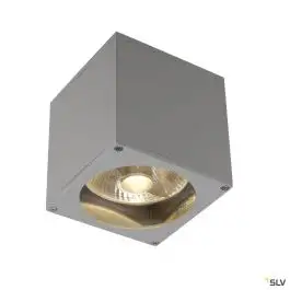 BIG THEO, applique extérieure, gris, GU10/QPAR111, 75W max, IP44