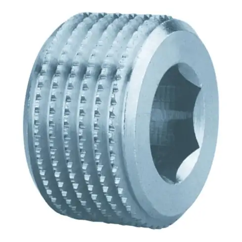 Bouchon à vis Schneider VSS-ST-I-R1/2a