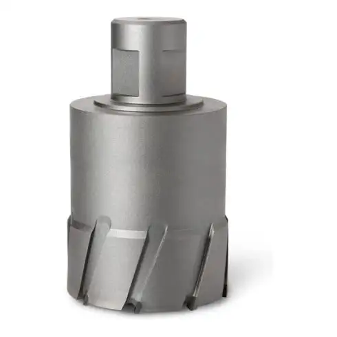 Fein Fraise HM Ultra 100 avec porte-outil Weldon 32, Ø perçage 74 mm, Profondeur de c