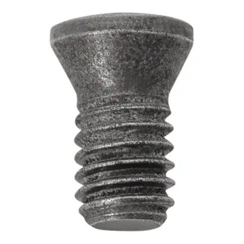 Vis de serrage STIER VT25 B (M2,5X5,5 T08)